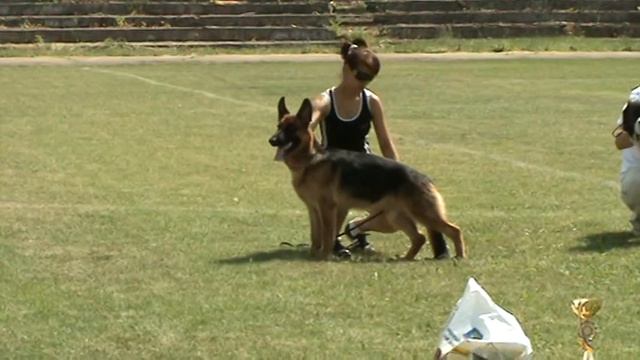 процесс главного Бэста (Перевальск 2010) смотреть онлайн