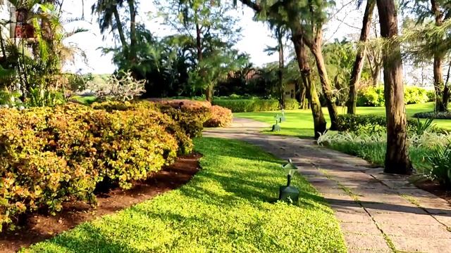 |Fun|Pot Breaking Game|Rotary Function|Slow run|Resort View|Magic World of VIshakan| смотреть онлайн