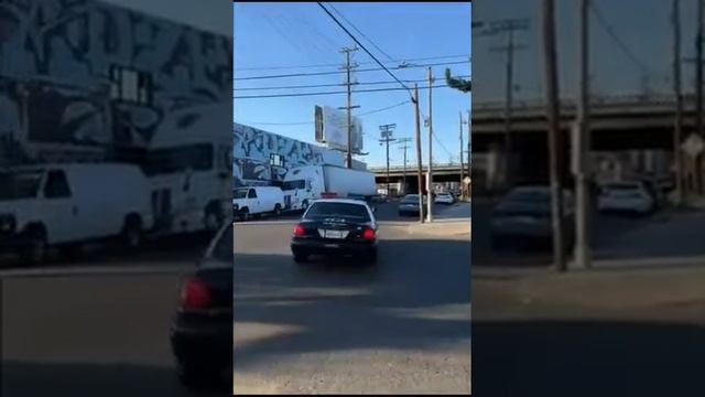 приключения нашлись сами по себе