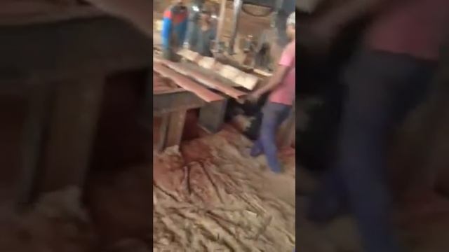 Meranti Wood смотреть онлайн