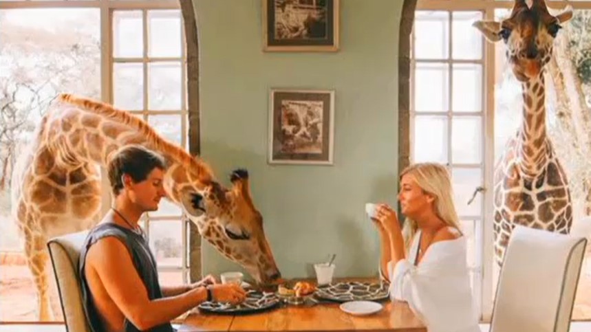 Жирафы смотреть онлайн