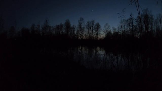 Природа 4k, птицы, река, вечер! смотреть онлайн