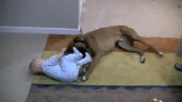 Малыш и огромный пес смотреть онлайн