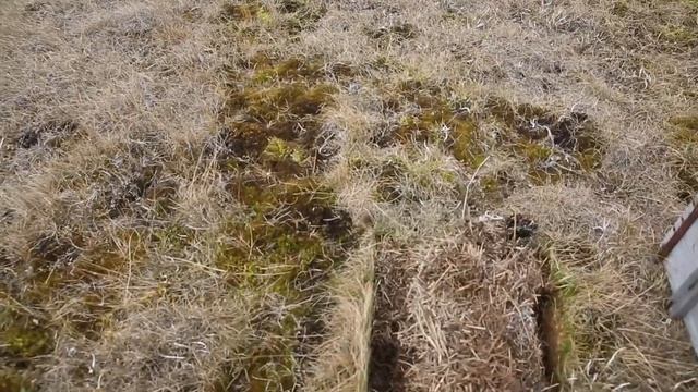 Лемминг и его домик. Lemming and his "house". смотреть онлайн