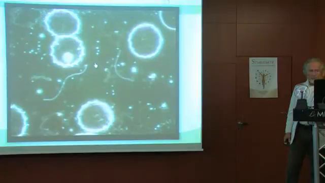 Ekkehard Sirian Scheller zu Symbiontic (3) смотреть онлайн