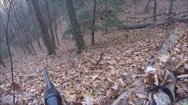 First Whitetail Hunt of 2016! смотреть онлайн