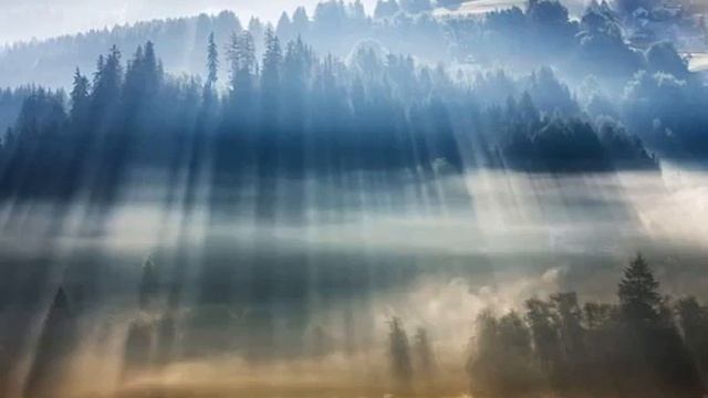 День 2 Источник Изобилия 21 день изобилия Дипак Чопра на русском языке смотреть онлайн