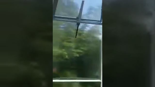 Круглый павильон с подвязками для растений смотреть онлайн