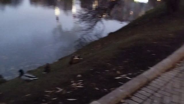 Прогулка по Москве музей М. Булгакова