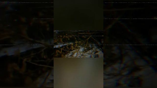 граффити теггинг и зима ZiR , исчезающие чернила смотреть онлайн
