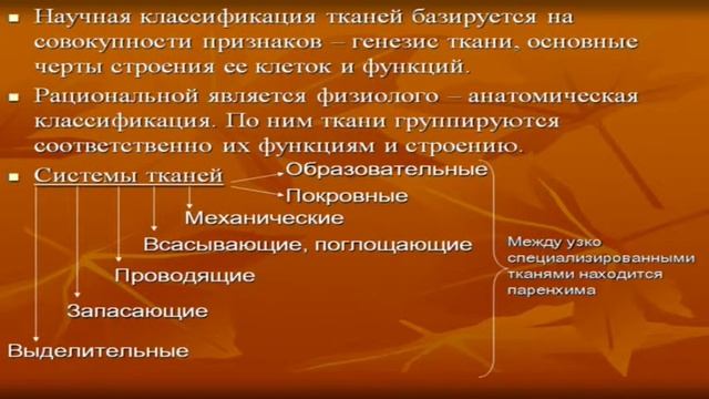 Конысбаева Д.Т. Ботаника. Анатомия и морфология растений. Ткани смотреть онлайн