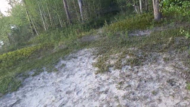 Прогулка по "собачке".Мончегорск смотреть онлайн