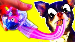 Лизуны, питомцы и секреты тайной комнаты 🐙💫