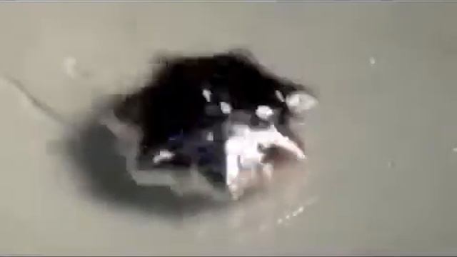 Звуковые вибрации ртути в движении смотреть онлайн