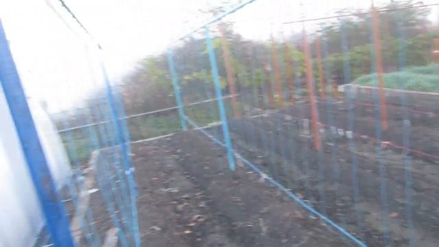 МОНТИРУЕМ ТЕПЛИЦУ смотреть онлайн