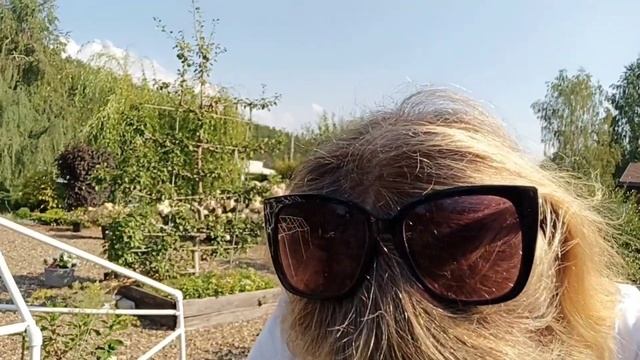 В ГОСТЯХ У ЛЕНЫ. ?ЧУДЕСНЫЕ ГОРТЕНЗИИ. ВЕЛИКОЛЕПНЫЙ САД. #гортензии #сад #дом смотреть онлайн