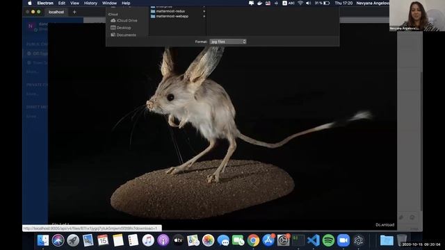 Dev Sneak Peeks | Custom file download location смотреть онлайн