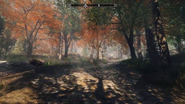 Skyrim SE - RTX 3080 Test - The Rift - 2020 смотреть онлайн