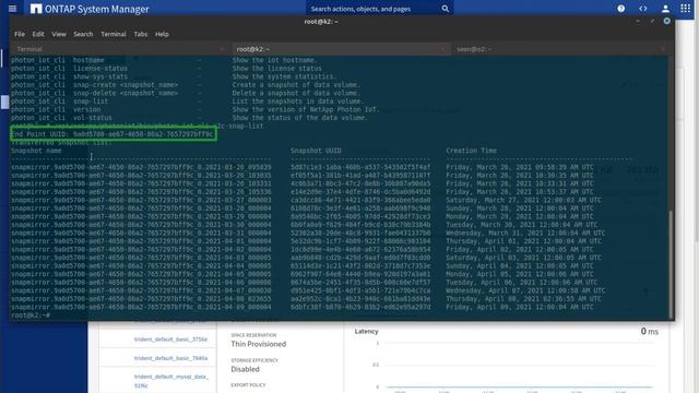 Restore cloud snapshots from (experimental ) Photon IoT (ARM64) to ONTAP (x86_64) смотреть онлайн