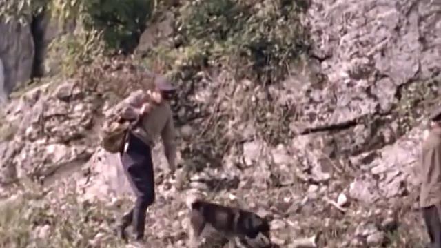 1971 Тропой бескорыстной любви