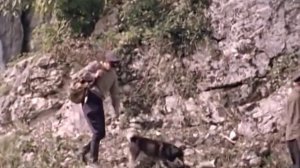 1971 Тропой бескорыстной любви