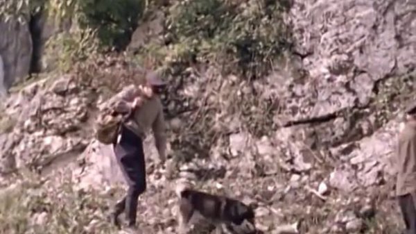 1971 Тропой бескорыстной любви