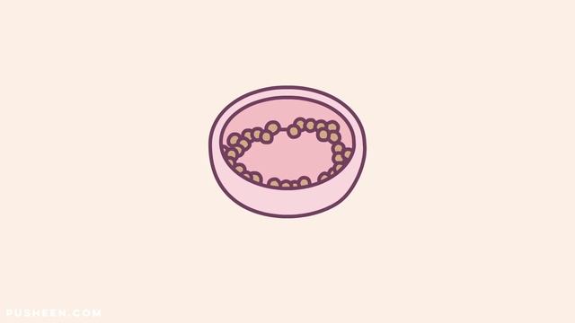 Pusheen: How to Tell if Your Cat is an Alien смотреть онлайн