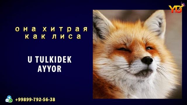 1000 Русский узбекский словарь 9-урок смотреть онлайн