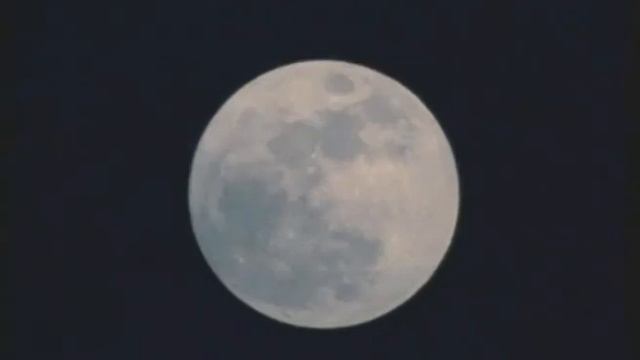 Волки смотреть онлайн