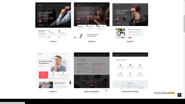 Castor - Business Consulting WordPress Theme consulting marketing Build Website смотреть онлайн