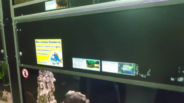 Минский зоопарк смотреть онлайн