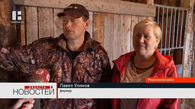 Овец эдильбаевской породы разводит семья фермеров из Тамбовской области смотреть онлайн