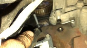 Замена ремня ГРМ на RR Evoque | Как заменить ГРМ самому на 2.2 TD | Сервис Ленд Ровер Бразерс