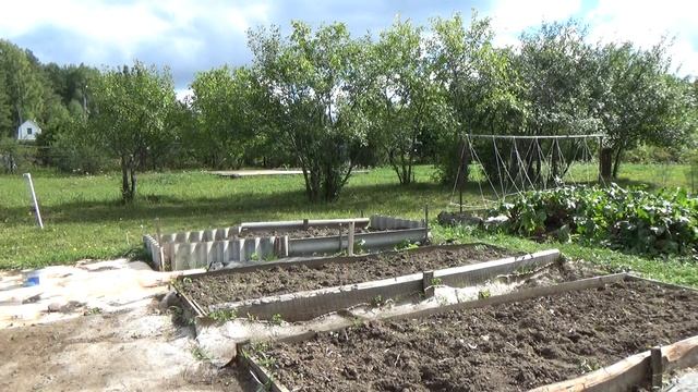Ну вот и осень. Потихоньку закругляюсь на своем огороде//Василек. смотреть онлайн