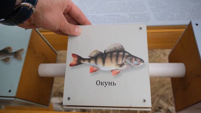 КАМЫШИН - почему его БЕЗУМНО ЛЮБЯТ и причем тут ШВЕЙЦАРИЯ И НЕМЦЫ? [Камышинский район] #ВОБЛАСТЬ смотреть онлайн