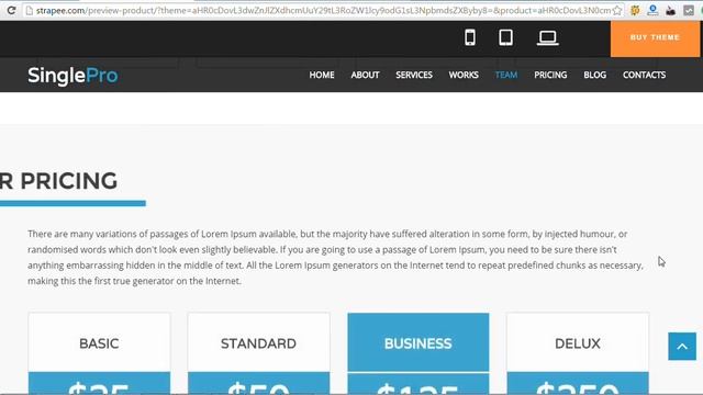 SinglePro – Bootstrap Onepage Business Portfolio Template HTML смотреть онлайн