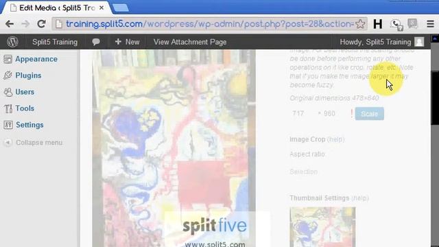 WordPress How-To 5: Resize Images смотреть онлайн