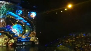 Москвариум. Красивейшее представление "Сон в летнюю ночь" с участием дельфинов, моржей и касаток.