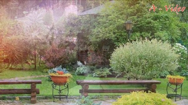 ?Отличные идеи для ландшафтного дизайна / The best examples of landscape design / A - Video