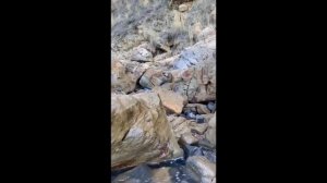 Прасковеевка: прогулка по пляжам.