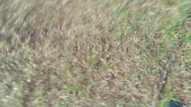 Мой первый вопрос-ответ смотреть онлайн