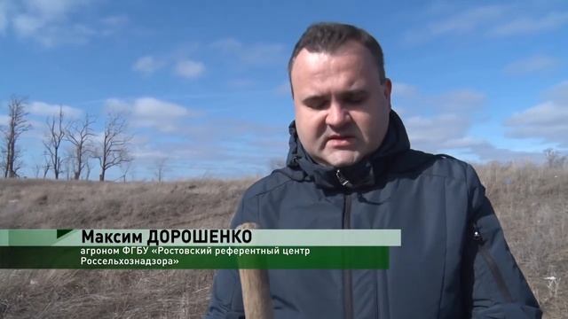 Незаконная свалка на землях сельхозназначения.mp4 смотреть онлайн