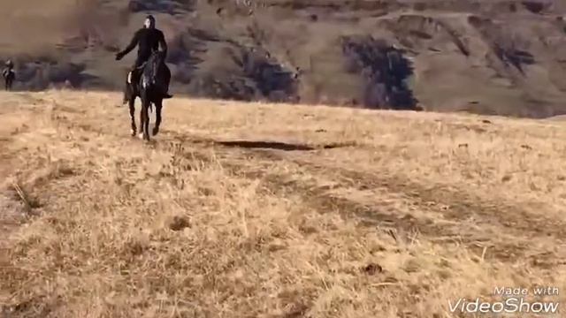 Mara_horses смотреть онлайн