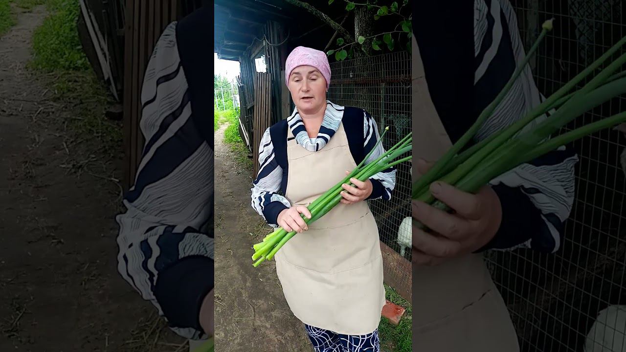 Индюки ОБОЖАЮТ эти стрелки. смотреть онлайн