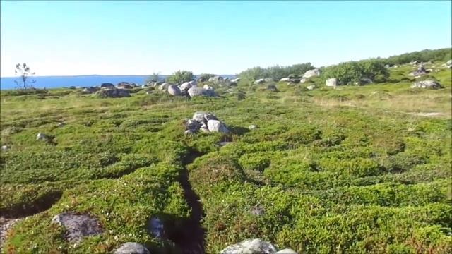 Соловецкие острова. Путешествие Ч 5.