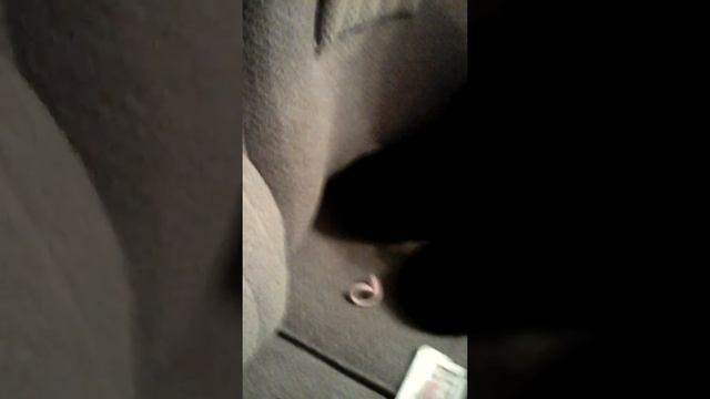 Как нужно играть в сто одно смотреть онлайн