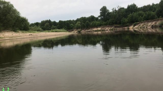 РЫБАЛКА НА МОКШЕ 2022. Где ловить ЛЕЩА на мокше??? ФИДЕР на Мокше. Ловля плотвы на мокше смотреть онлайн