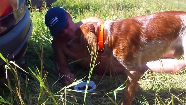 Кормление рыжего коня смотреть онлайн