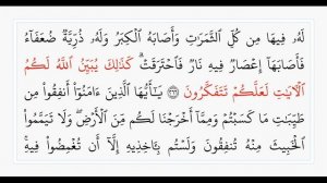 Сура 2, стр. №45, аяты 265-269, Аль-Бакара. Учебное чтение Корана.