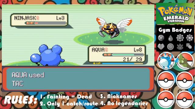 Grit Your Teeth! - Pokemon Emerald Nuzlocke #2 - Han Dailies смотреть онлайн